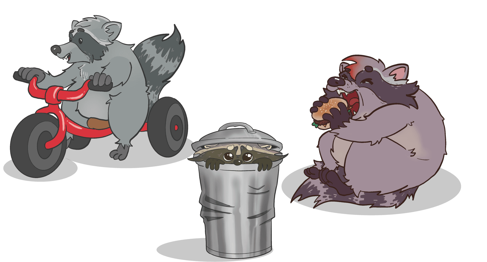 Instagram raccoon vs Toronto raccoon